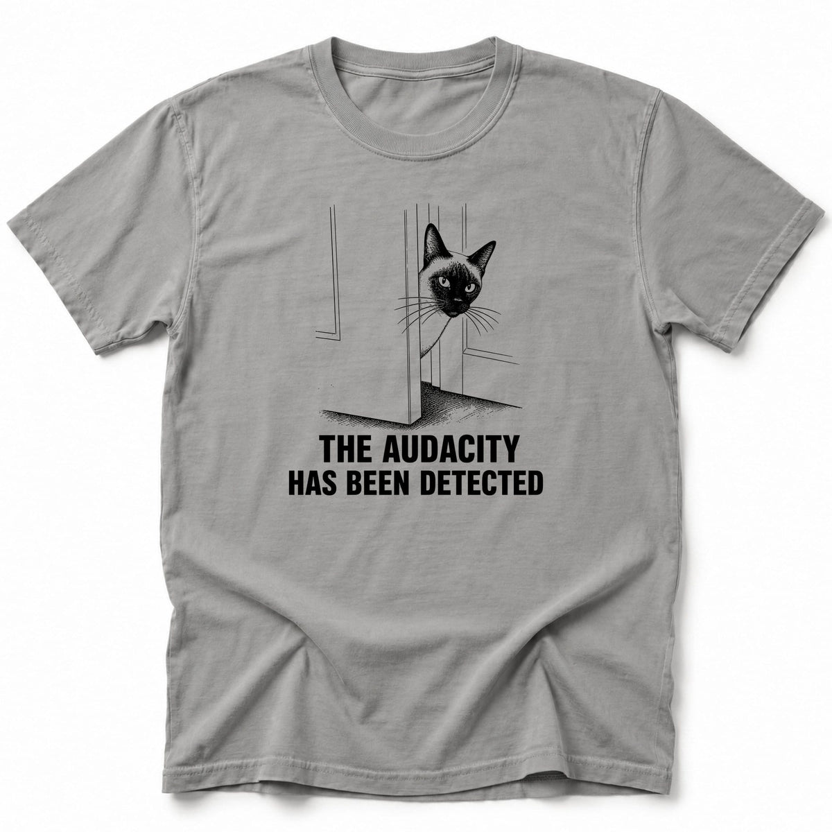 Audacity T-Shirt Grey / S 18116413796279895996 T-Shirt