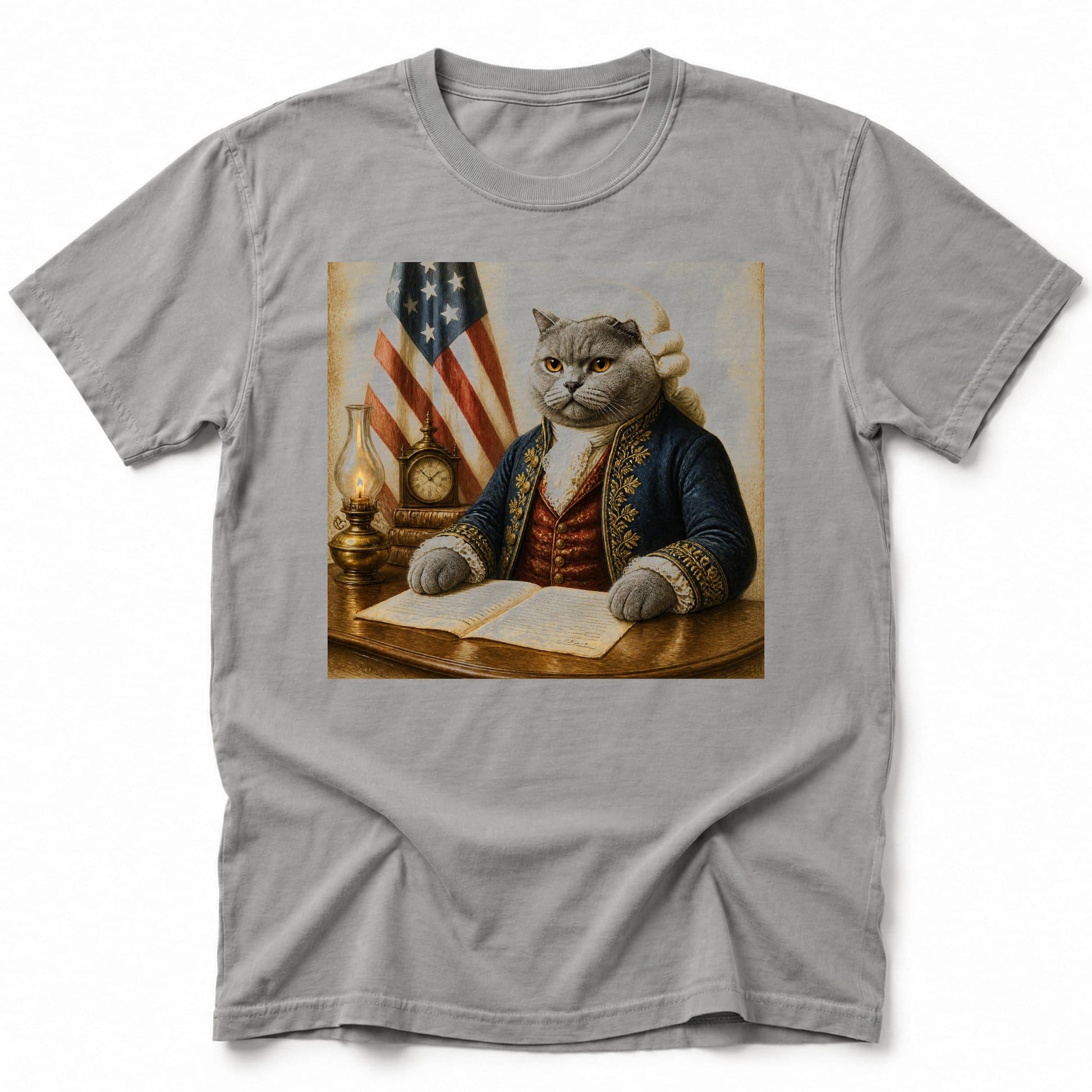 Ben Furanklin T-Shirt Grey / S 50635551046014412193 T-Shirt