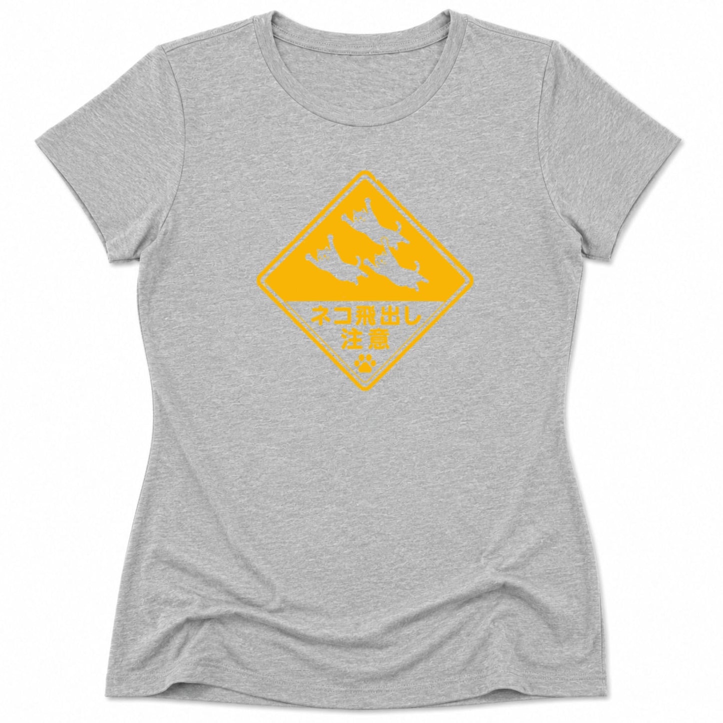 Beware Flying Cats Womens Tee S / Athletic Heather 17542966747839078958 T-Shirt
