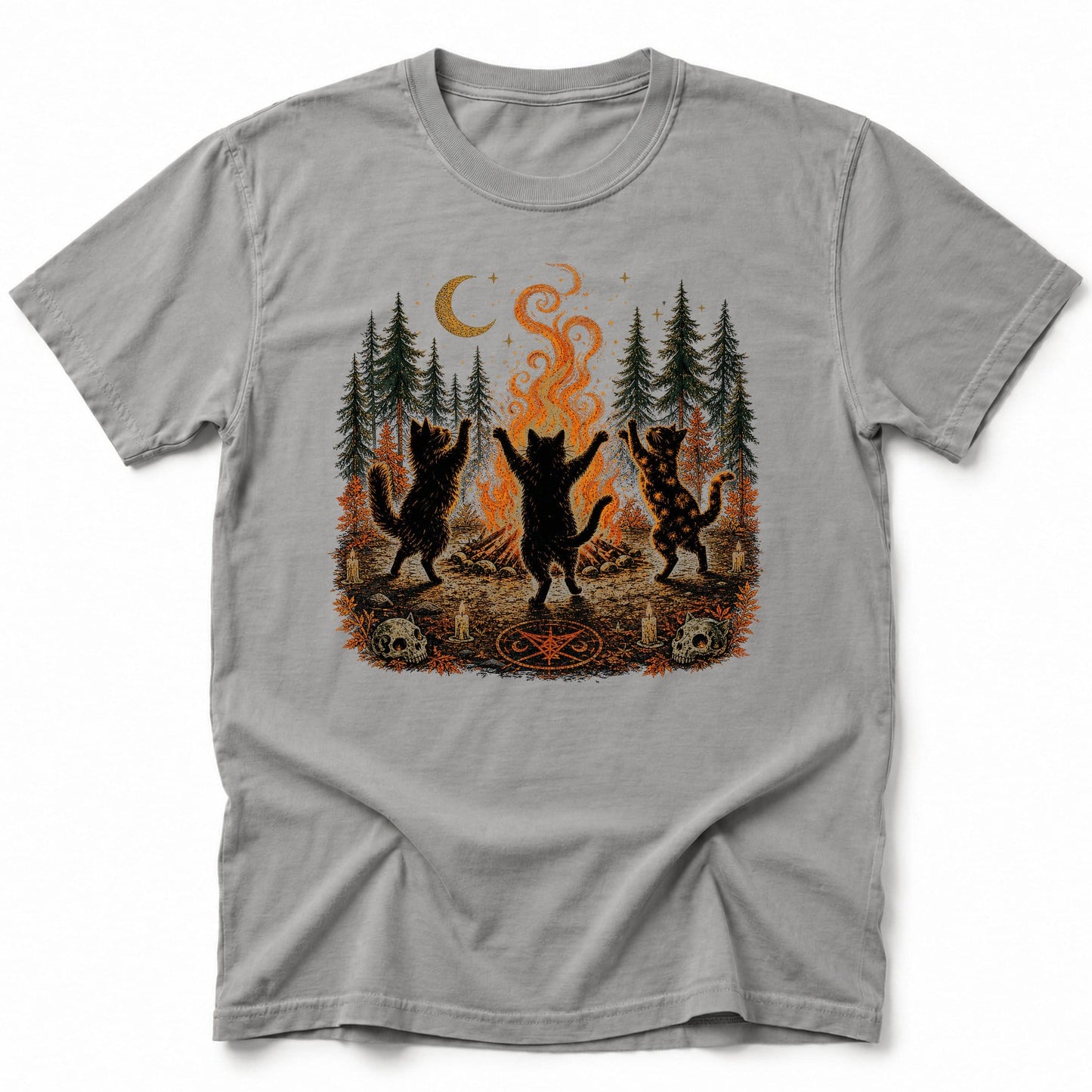 Bonfire Waltz T-Shirt Grey / S 25541144129142100400 T-Shirt