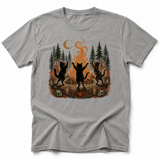 Bonfire Waltz T-Shirt Grey / S 25541144129142100400 T-Shirt