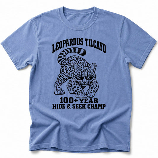 Hide Seek Champ T-Shirt Blue Jean / S 29941720942352825682 T-Shirt