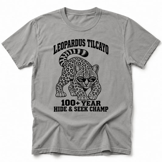 Hide Seek Champ T-Shirt Grey / S 12979362018097422703 T-Shirt