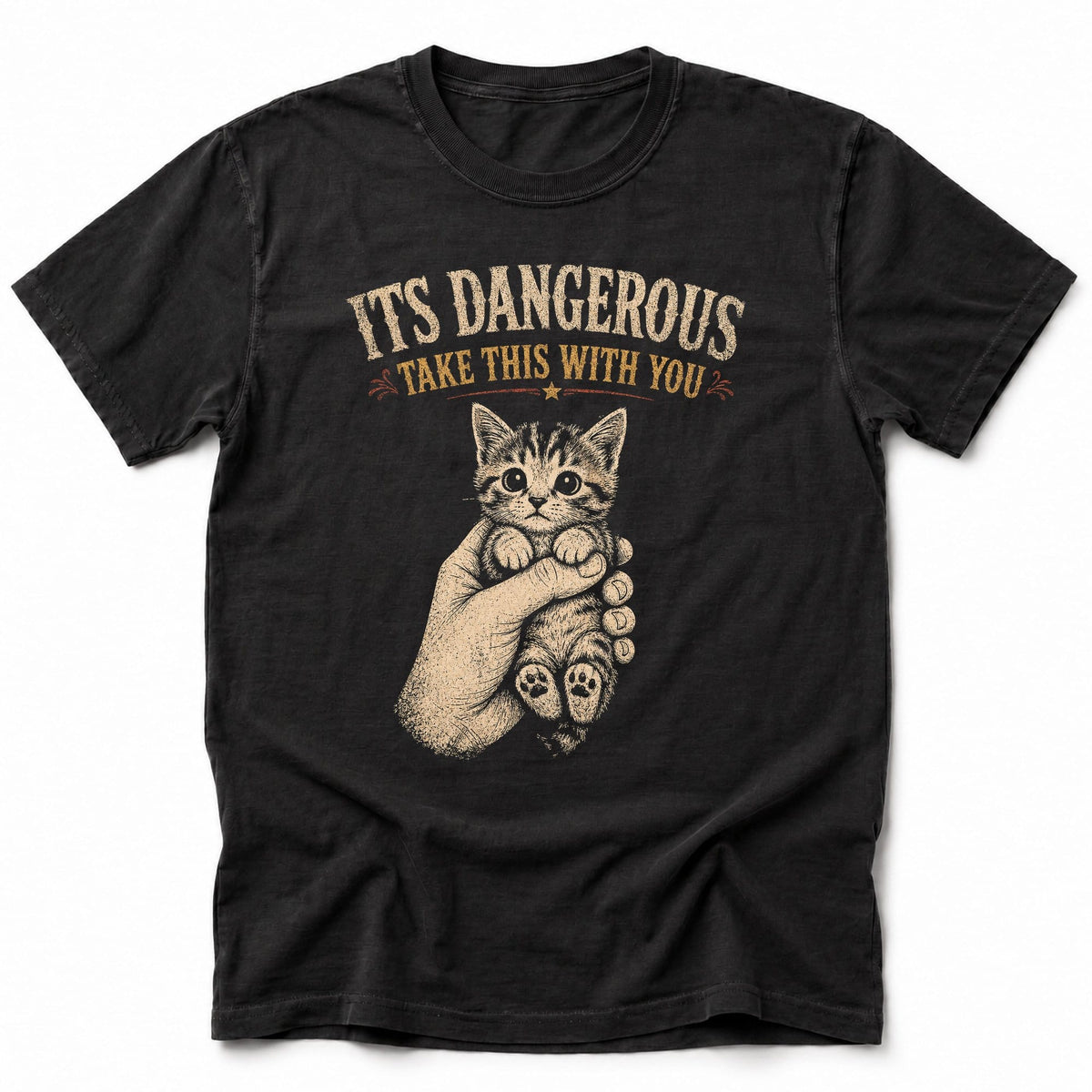 Its Dangerous T-Shirt Black / S 89140253413154516881 T-Shirt