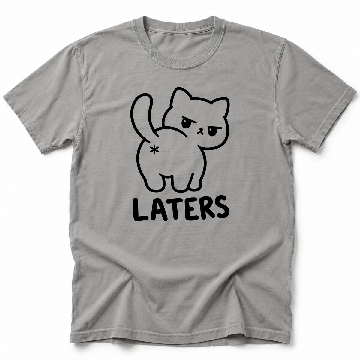 Laters T-Shirt Grey / S 18886583172499724514 T-Shirt