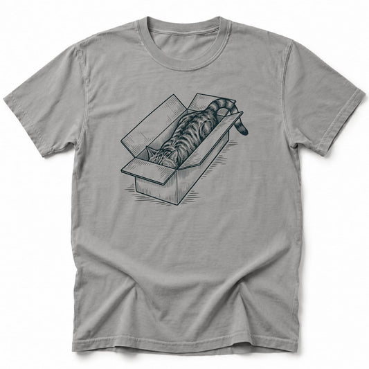 Long Box Cat T-Shirt Grey / S 30749878467277343108 T-Shirt
