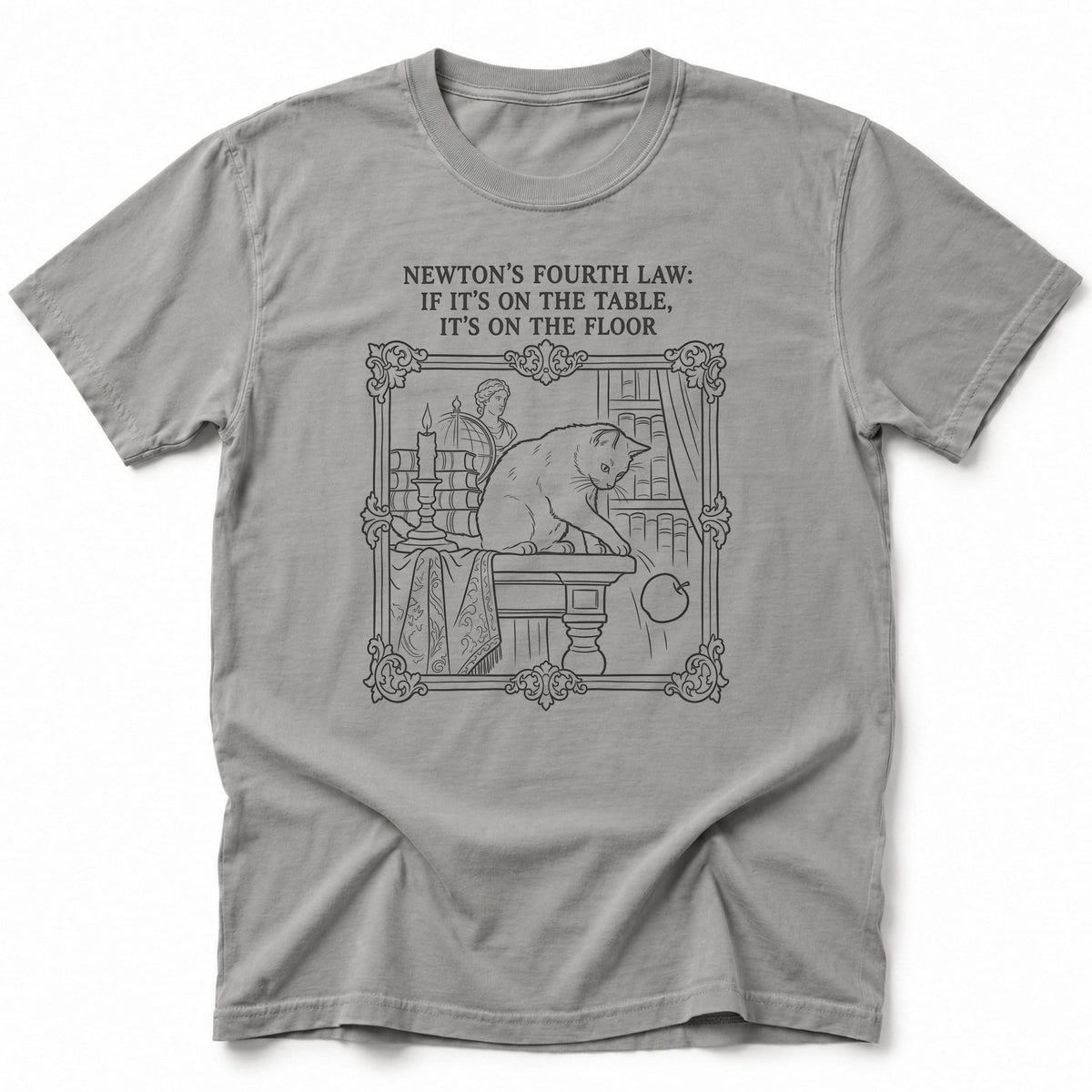 Newton's Fourth Law T-Shirt Grey / S 33324966979742866780 T-Shirt