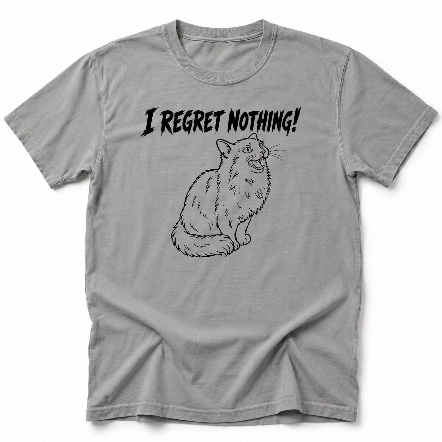 No Regrets T-Shirt Grey / S 15237126085932817684 T-Shirt