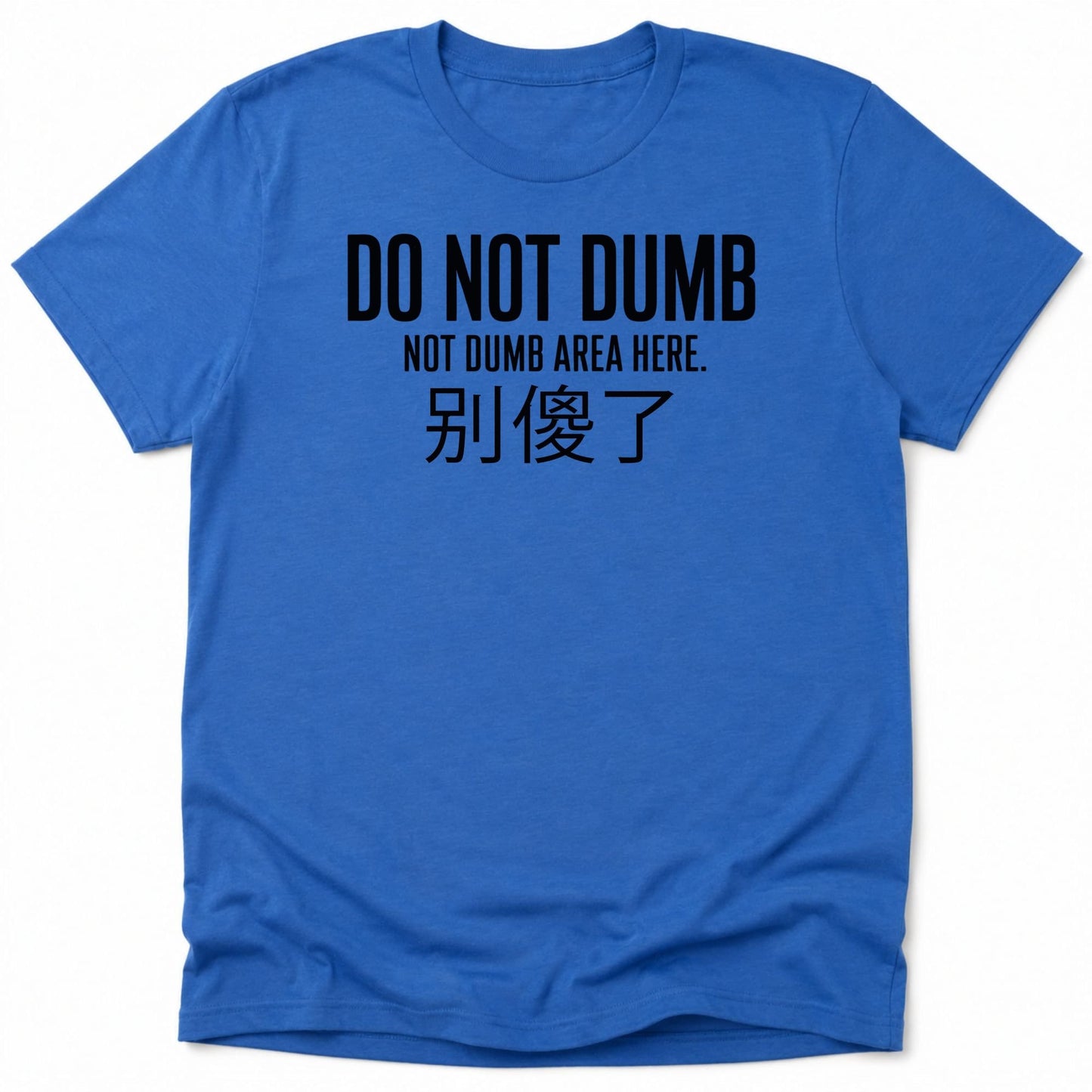 Not Dumb Everyday Softstyle Tee Heather Royal / S 13394954562325924683 T-Shirt