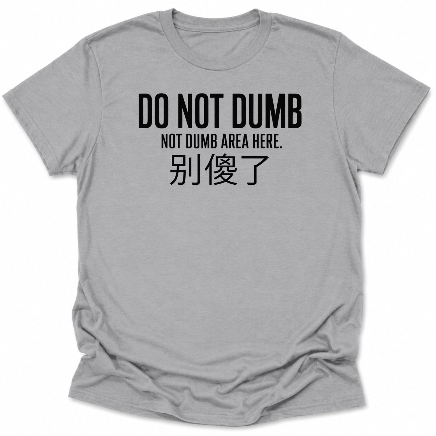 Not Dumb Everyday Softstyle Tee Sport Grey / S 27003463340477887149 T-Shirt
