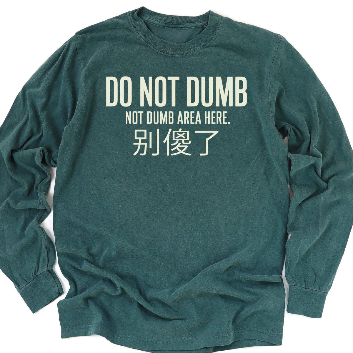 Not Dumb Long Sleeve Blue Spruce / M 57483624000765716174 Long-sleeve