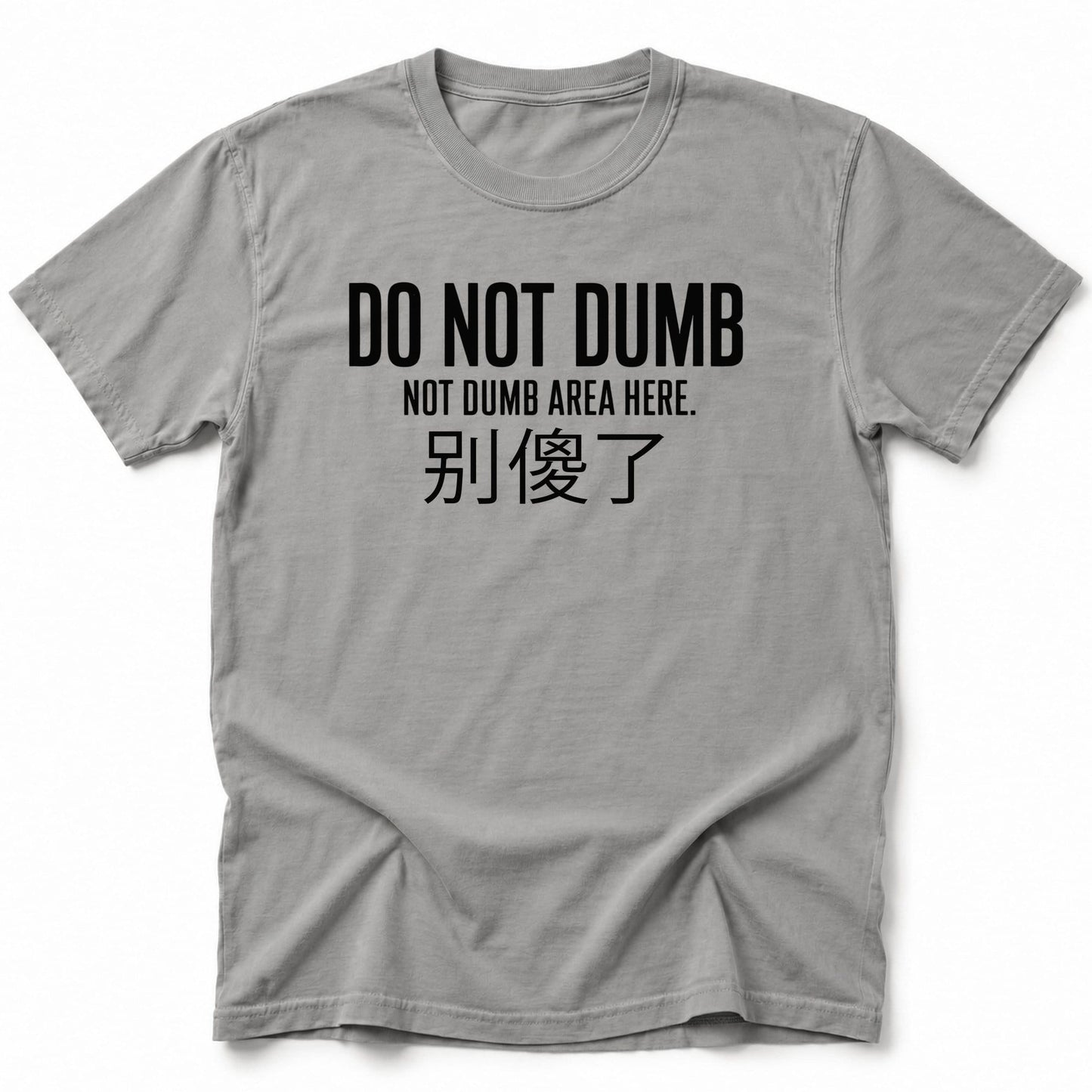 Not Dumb T-Shirt Grey / S 17071749468330232487 T-Shirt