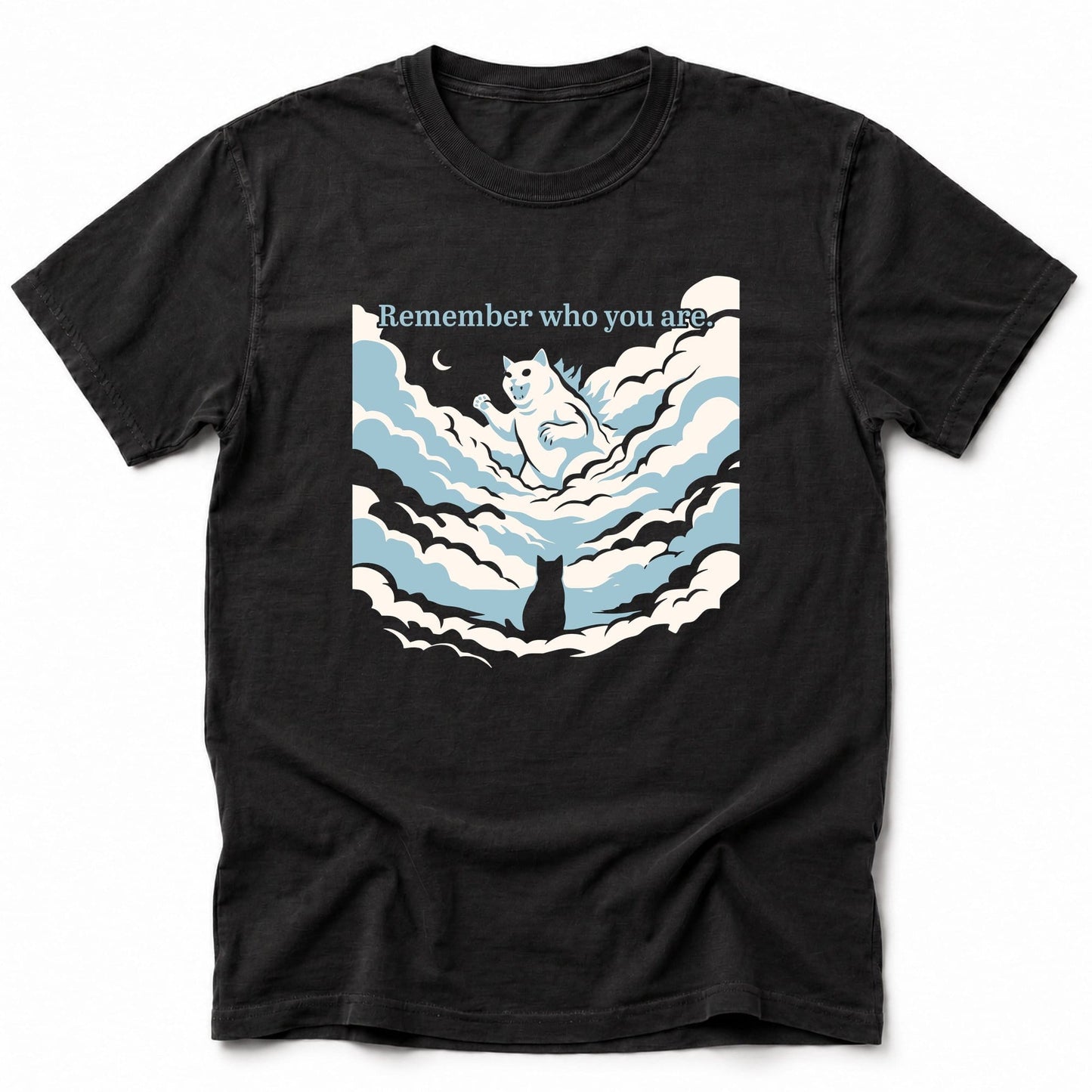 Remember T-Shirt Black / S 10837161818122471605 T-Shirt