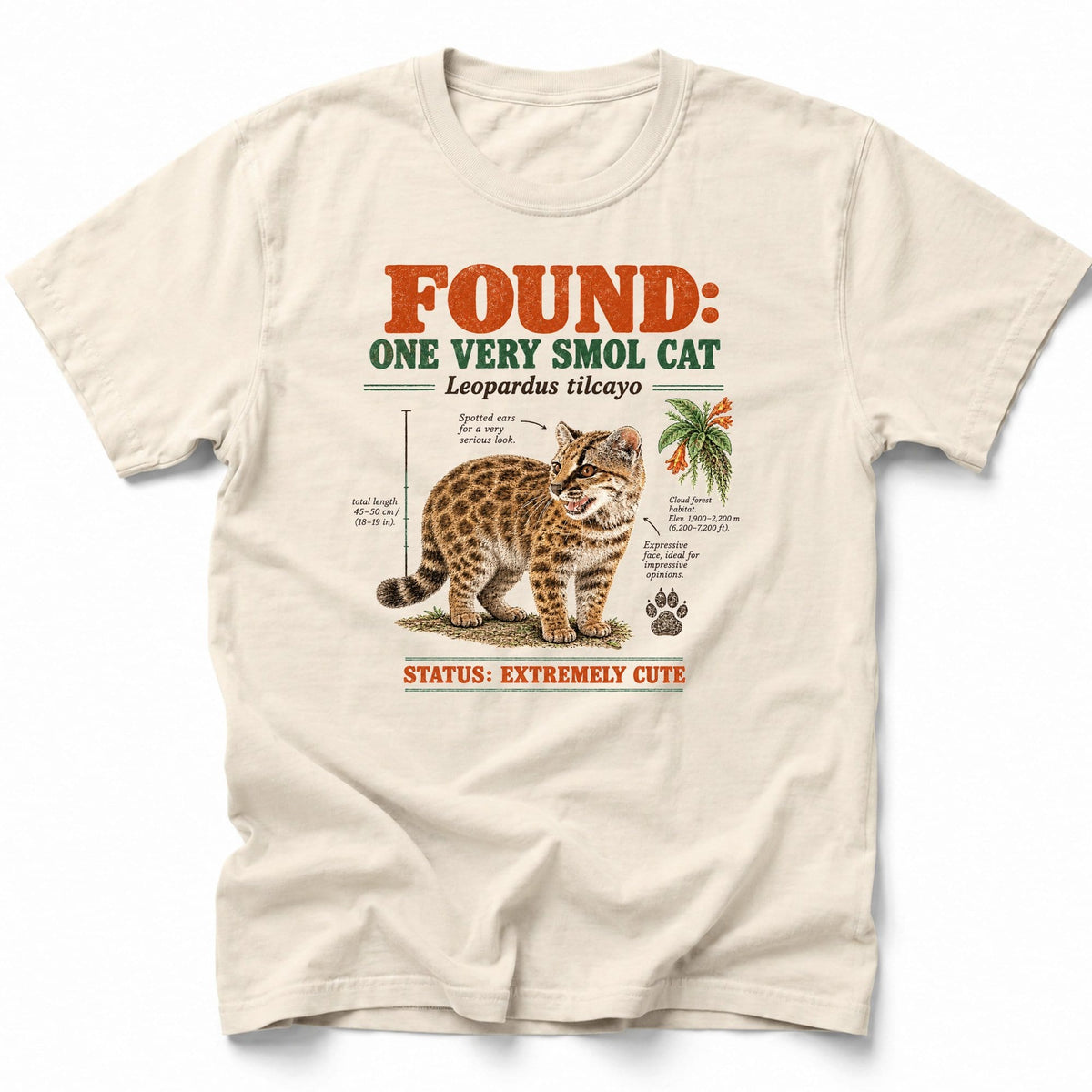 Smol Tilcayo T-Shirt Ivory / S 10398330441529933420 T-Shirt