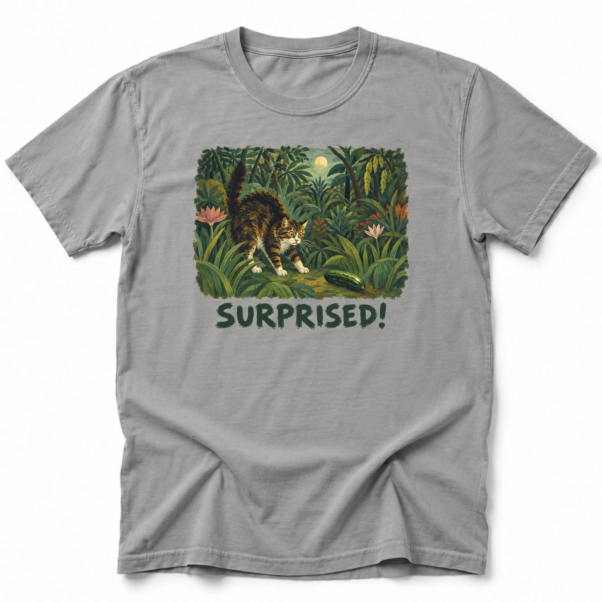 Surprised T-Shirt Grey / S 20995754670047920711 T-Shirt