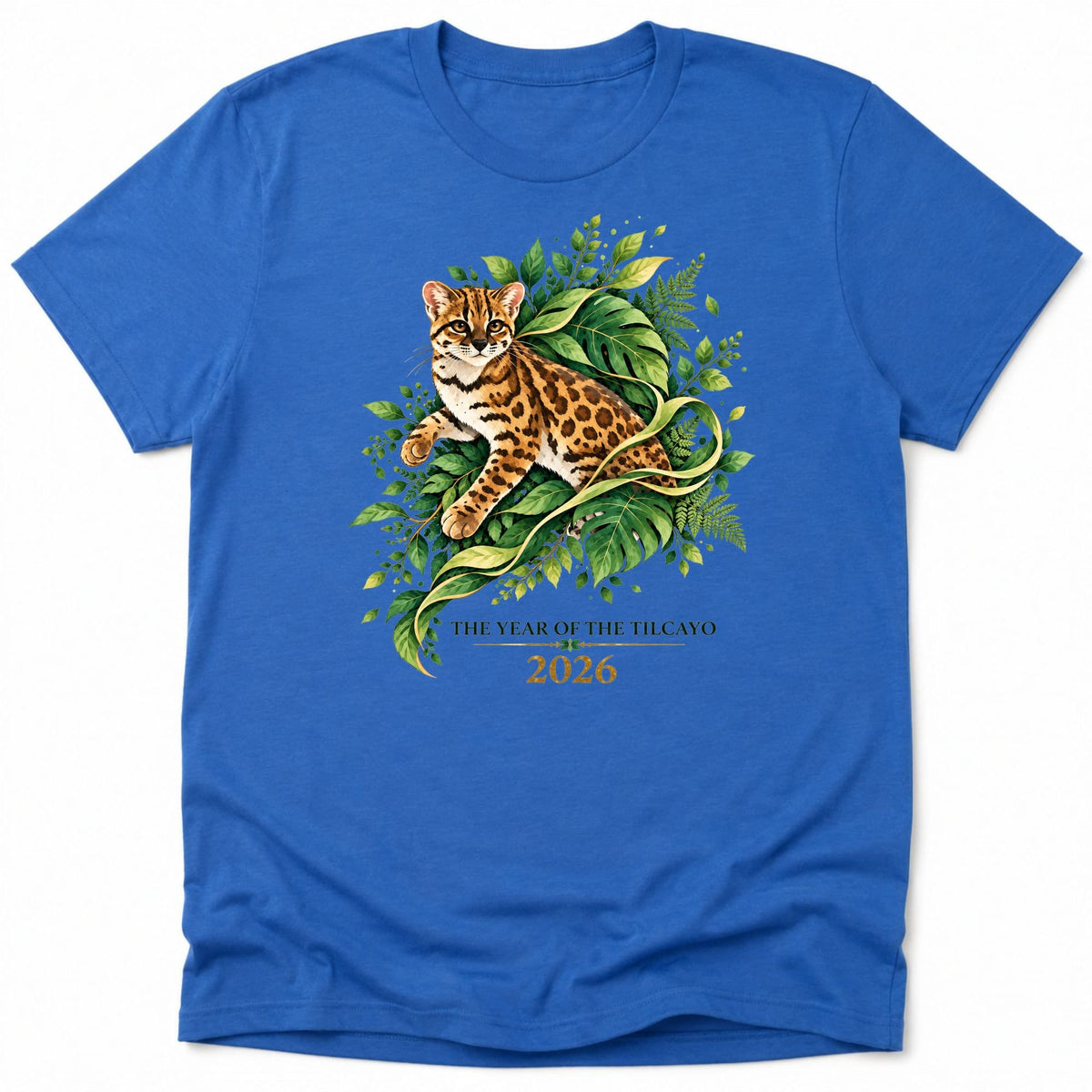 Tilcayo Year 2026 Everyday Softstyle Tee Heather Royal / M 12011612660199988504 T-Shirt