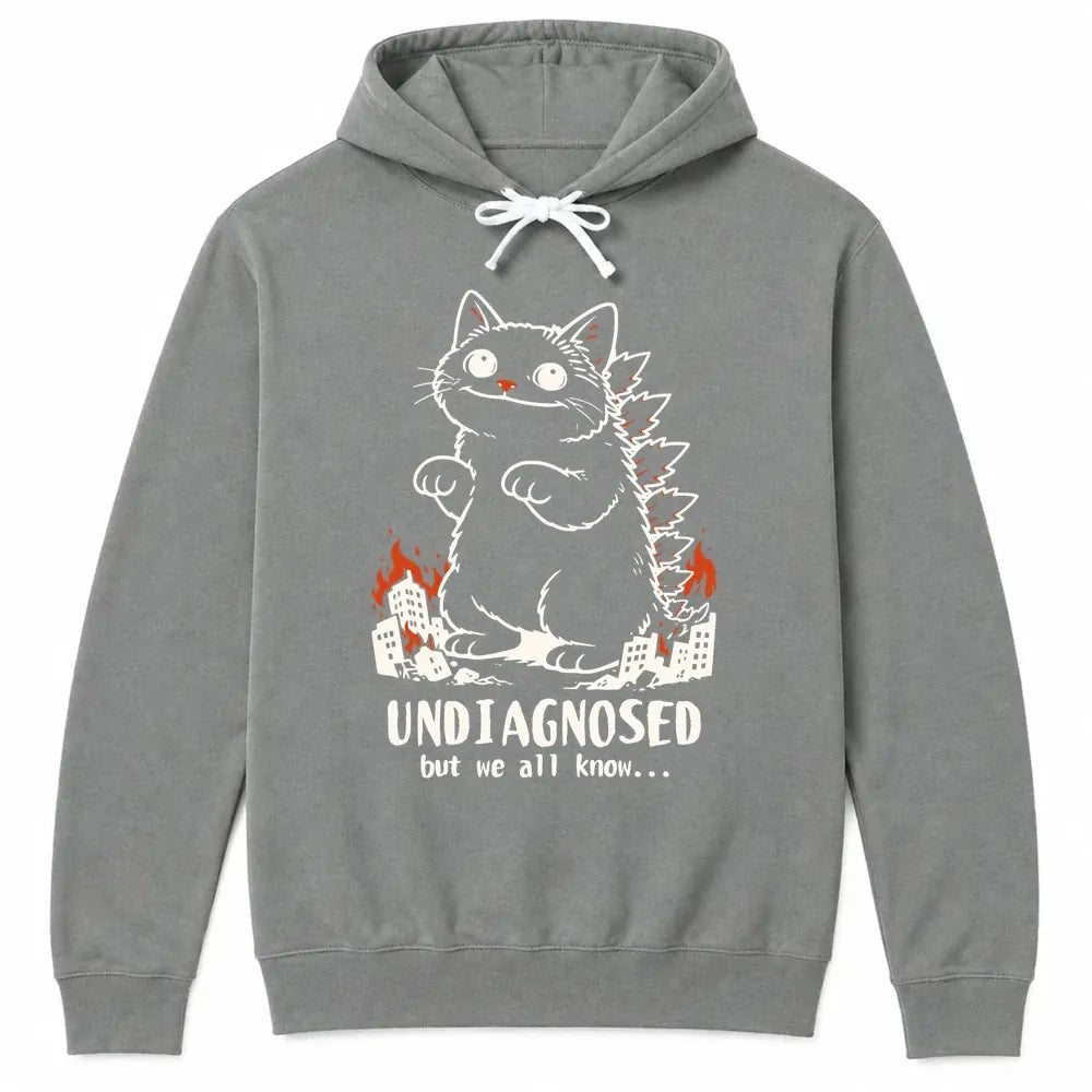 Undiagnosed Kyattojira Hoodie Grey / S 27922023653128868315 Hoodie