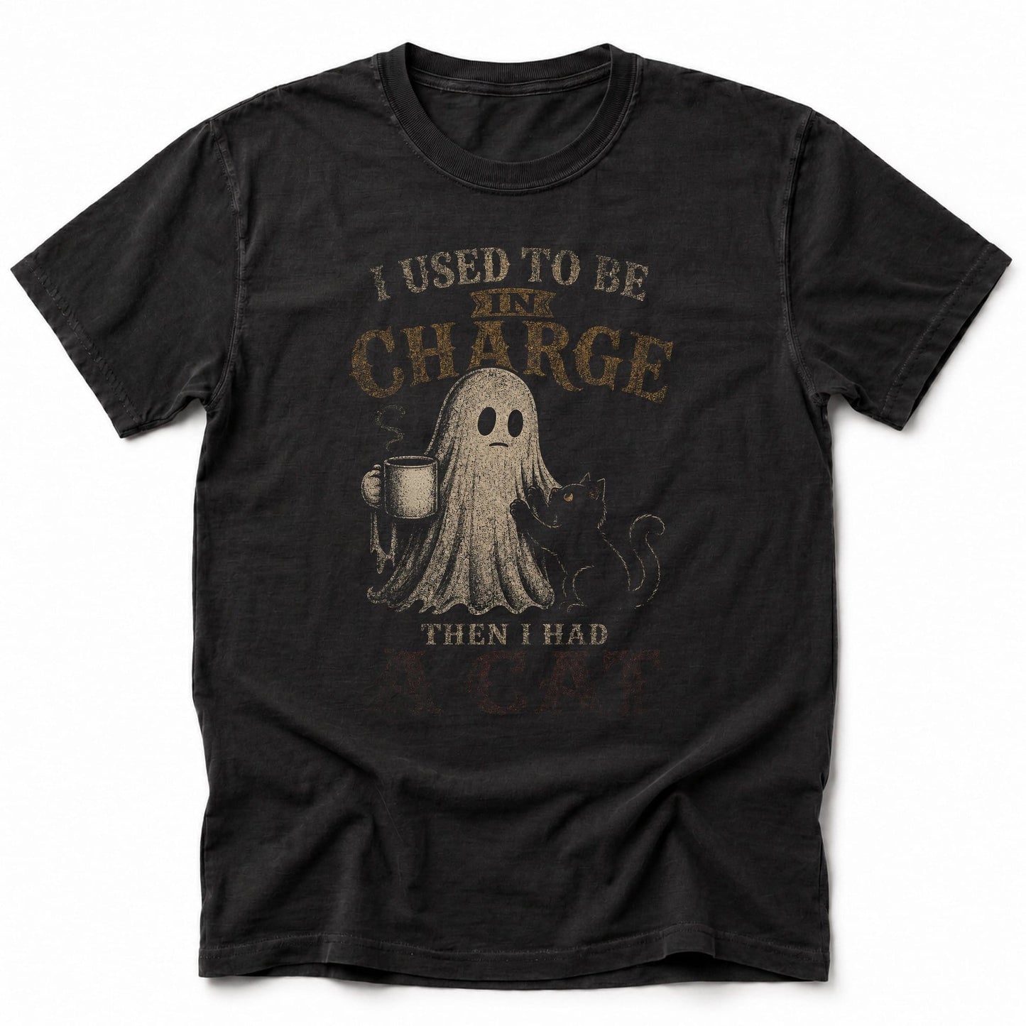 Used To Be T-Shirt Black / S 27231172926876379644 T-Shirt
