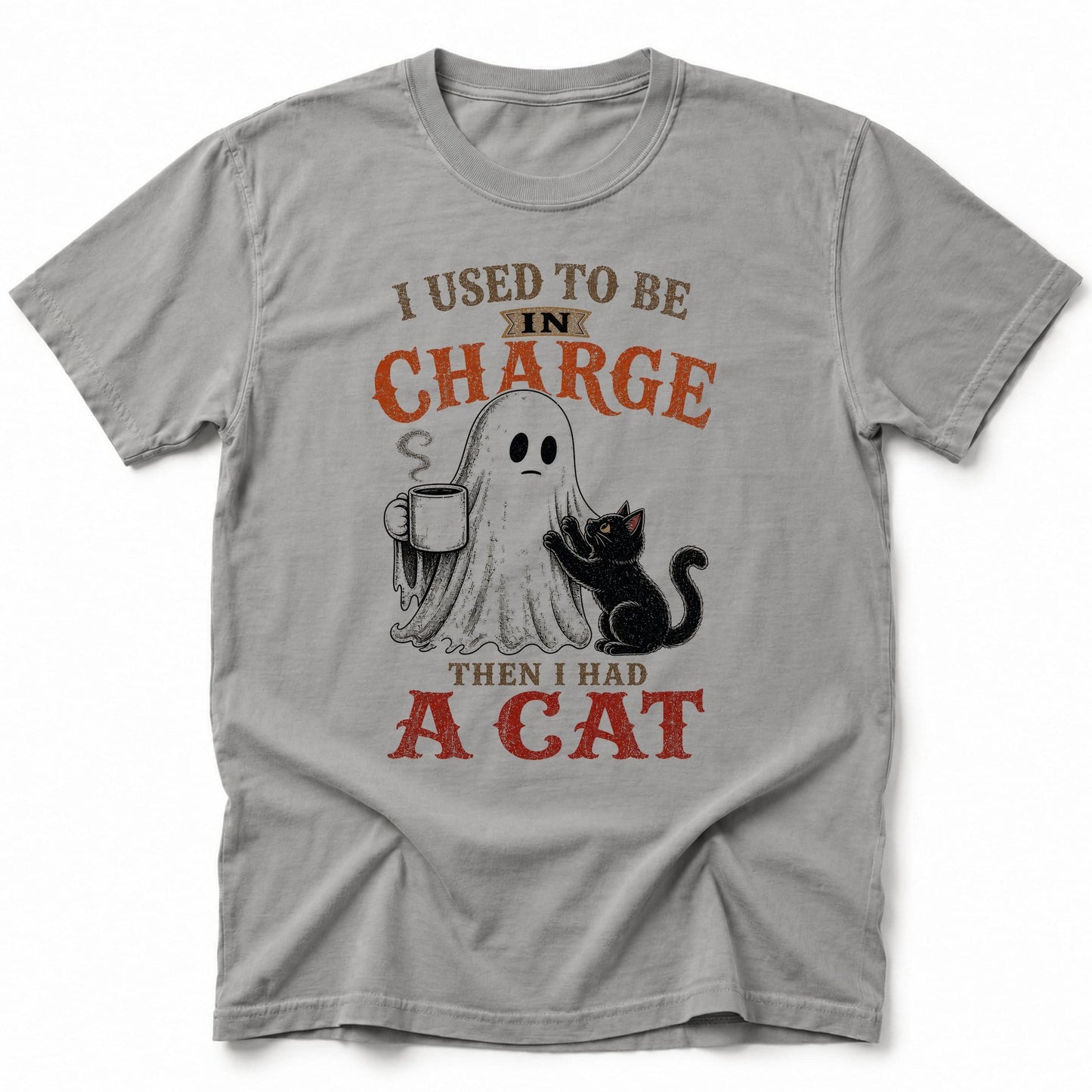 Used To Be T-Shirt Grey / S 13091580226236877901 T-Shirt