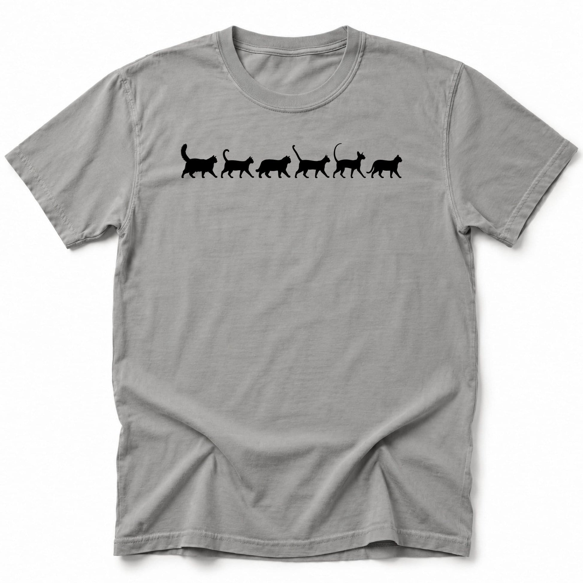 Walking T-Shirt Grey / S 20751011721479211124 T-Shirt